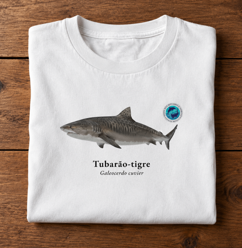 Tubarão-tigre - Imagem 4
