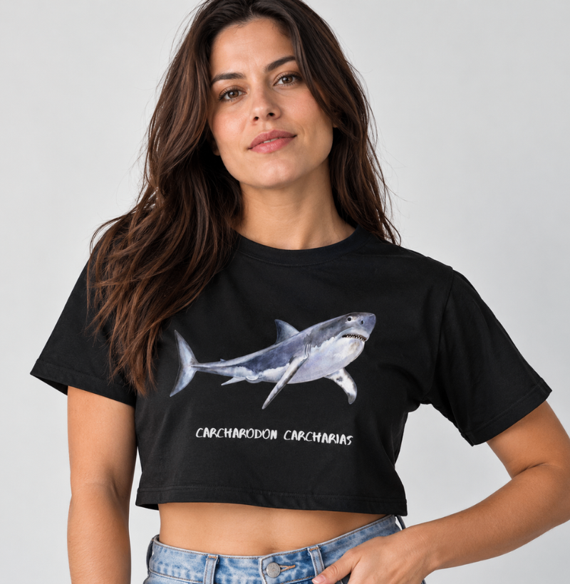 Carcharodon carcharias - Imagem 2