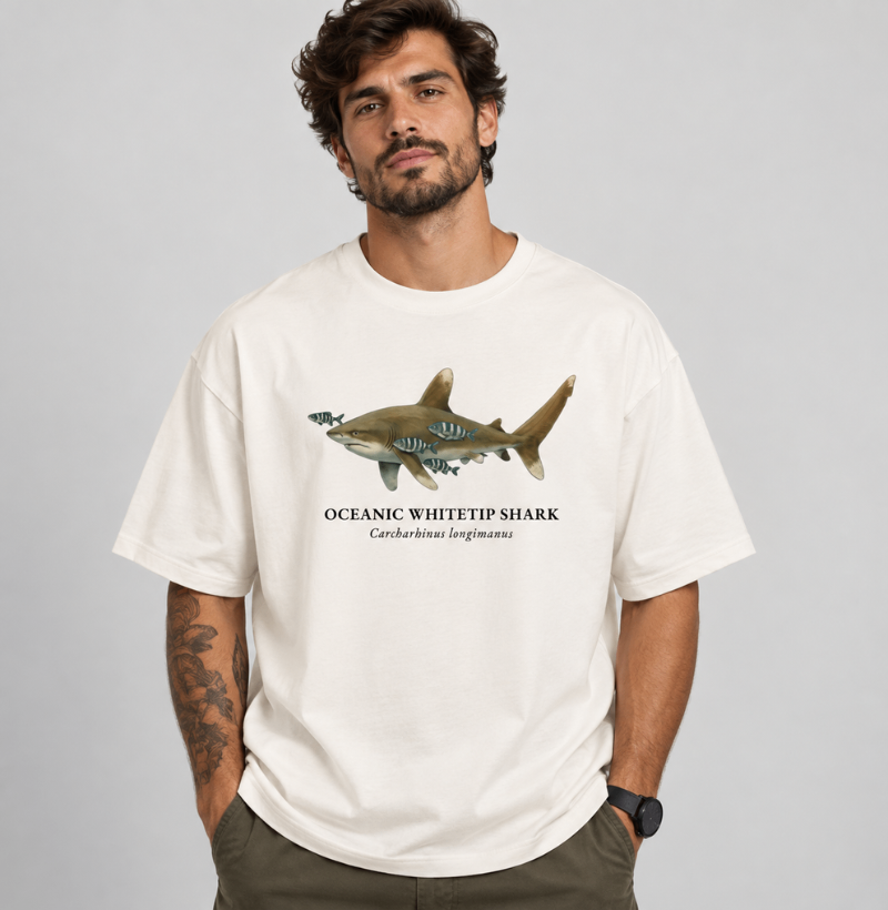 Oceanic Whitetip Shark - Imagem 3
