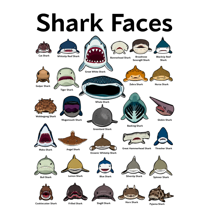 Shark Faces - Imagem 3