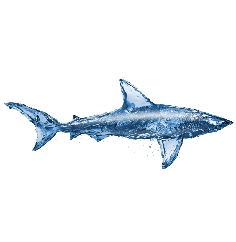 Water Shark - Imagem 2