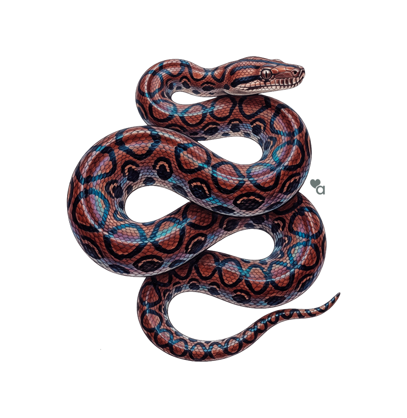 Répteis - Mini - Jibóia-arco-íris da Amazônia - Moletom Suéter - Imagem 2