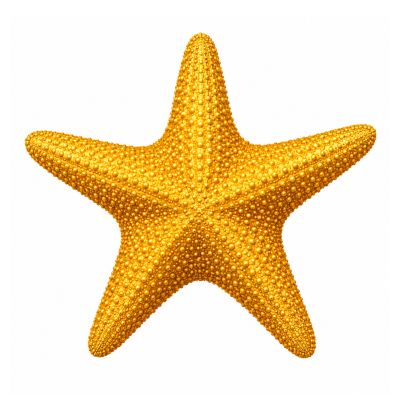 Starfish - Imagem 2