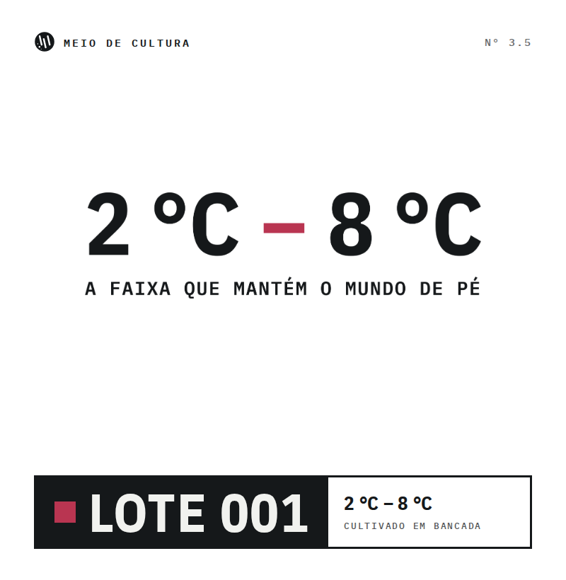 Camiseta Masculina 2ºC - 8ºC - Imagem 3