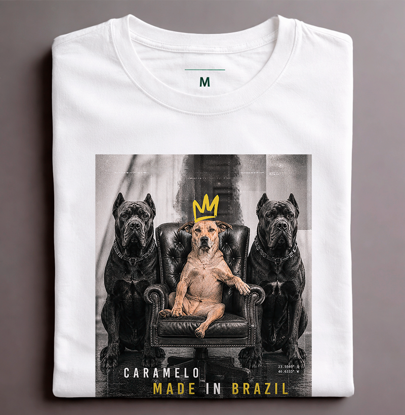 Camisa 1