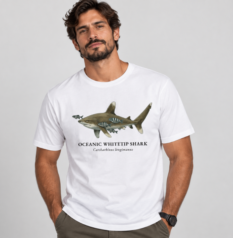 Oceanic Whitetip Shark - Imagem 3
