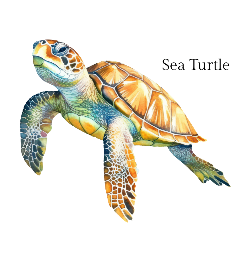 Sea Turtle - Imagem 2