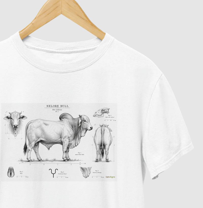 Nelore Bull Anatomia | I Am Agro - Imagem 3