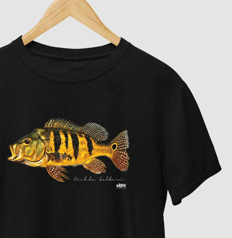 CICHLA KELBERI - Imagem 3