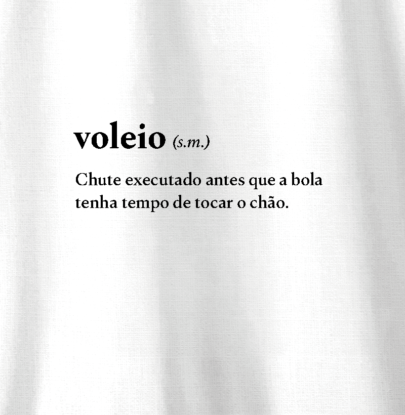 RIP - Dicionário Voleio - Imagem 2