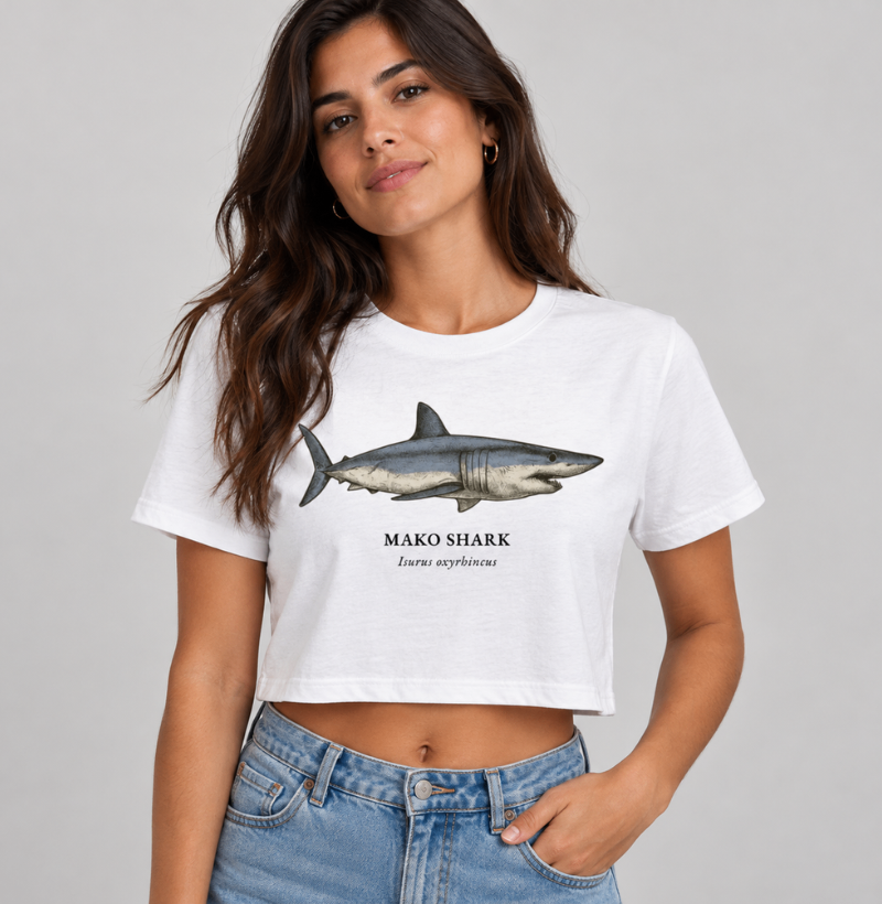 Mako Shark - Imagem 3
