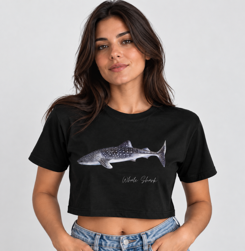 Whale Shark - Imagem 3
