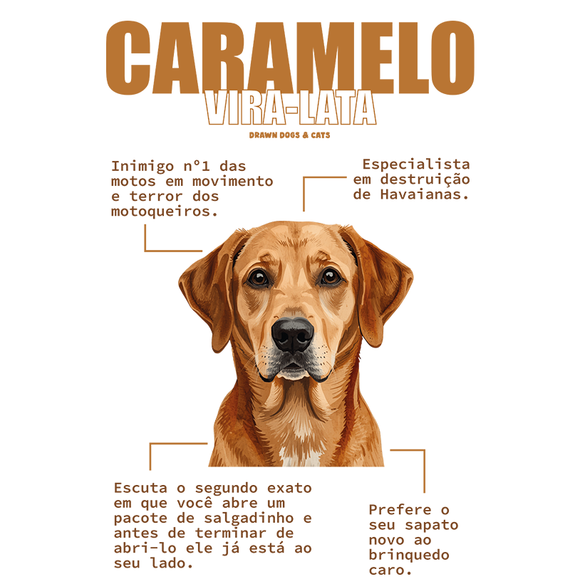 Vira-lata caramelo - Imagem 2