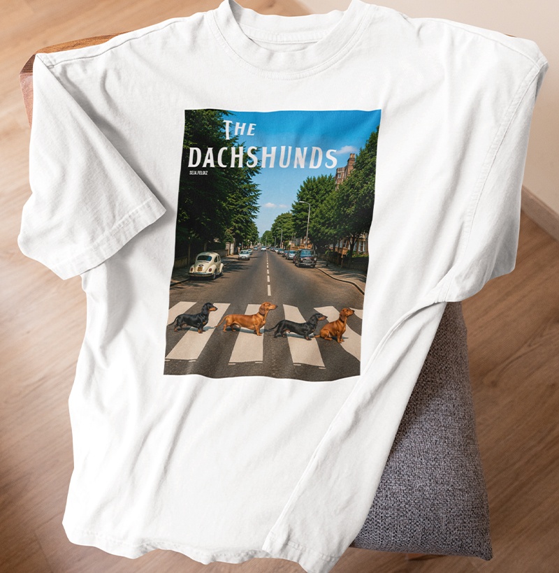 THE DACHSHUNDS 🐾🎸 - Imagem 2
