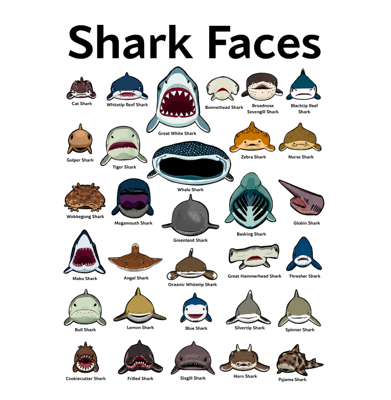 Shark Faces - Imagem 3