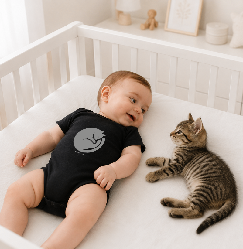 Gato dormindo em círculo - Imagem 2