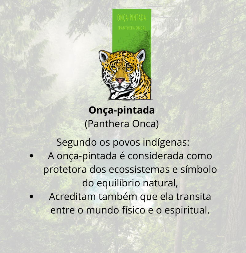 Camiseta Onça-Pintada - Imagem 4