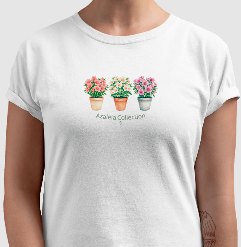 Azaleia Collection - Imagem 4