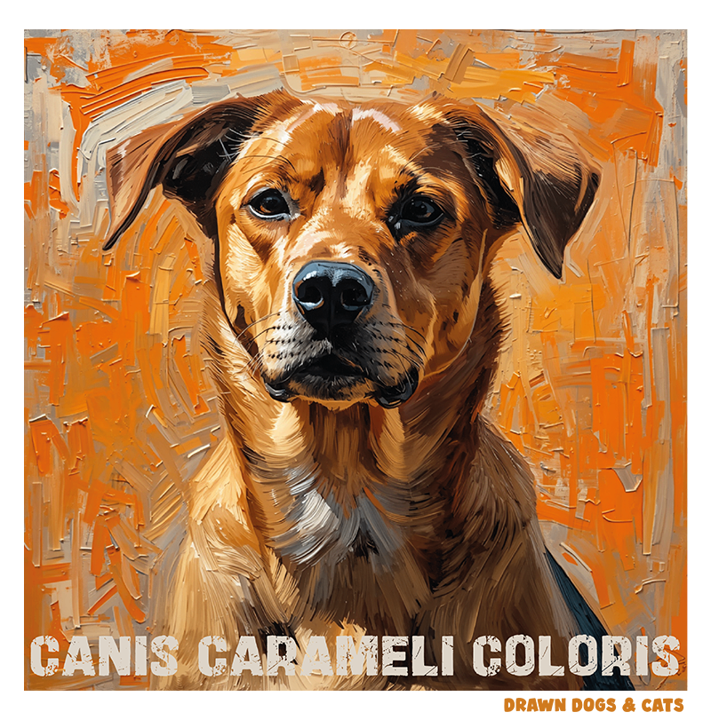 Canis Carameli Coloris - Imagem 3