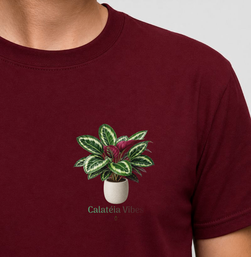 Calatéia Vibes - Imagem 2