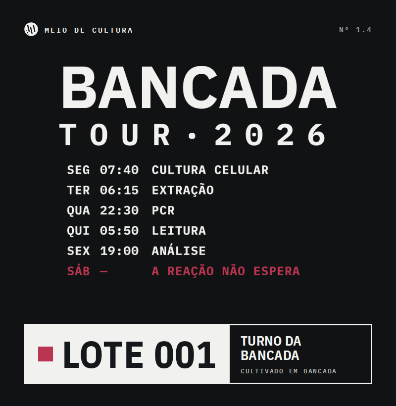 Camiseta Pima Masculina Bancada Tour - Imagem 3