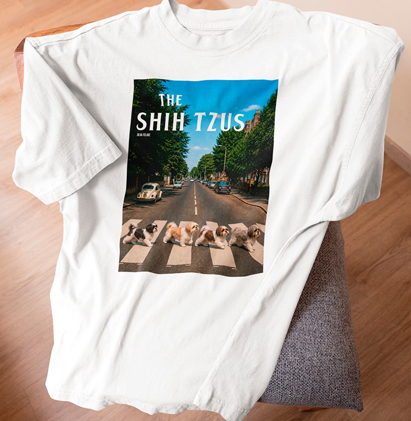 THE SHIH TZUS 🐾🎶 - Imagem 3