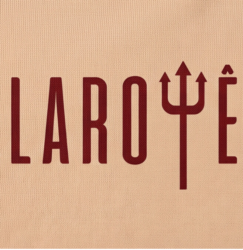MOLETOM HOODIE LAROYÊ - Imagem 4