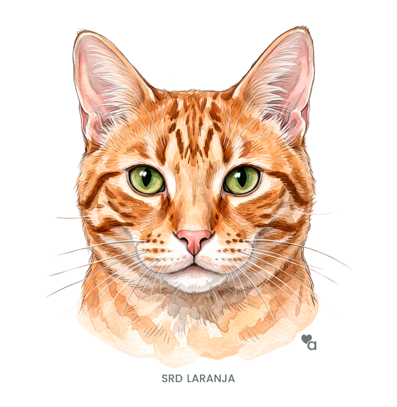 Gatos - SRD Laranja - Moletom Hoodie - Imagem 2