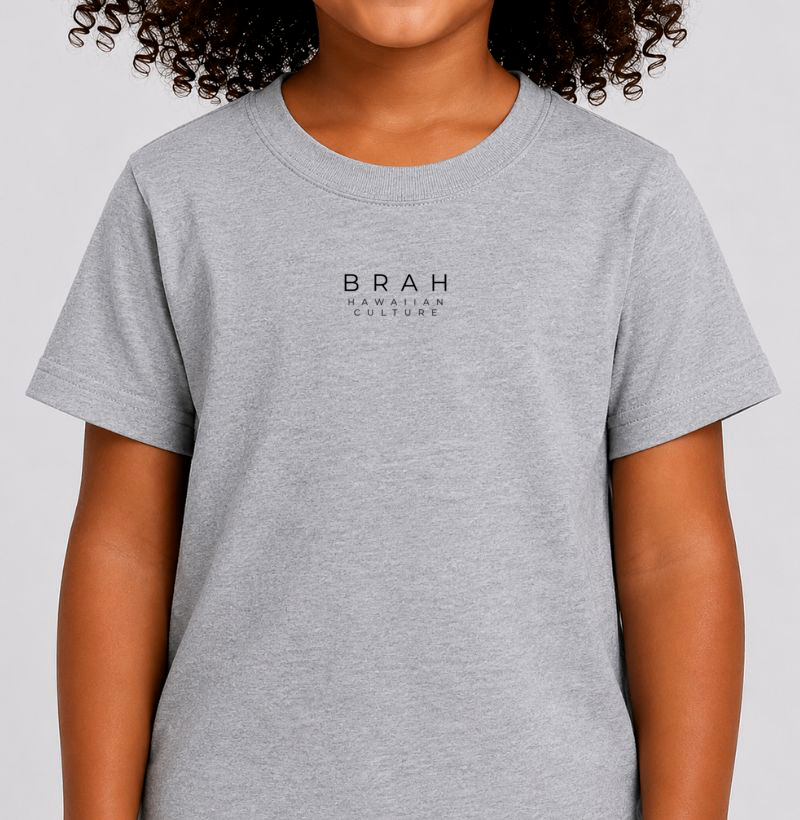 BRAH™ - Imagem 2
