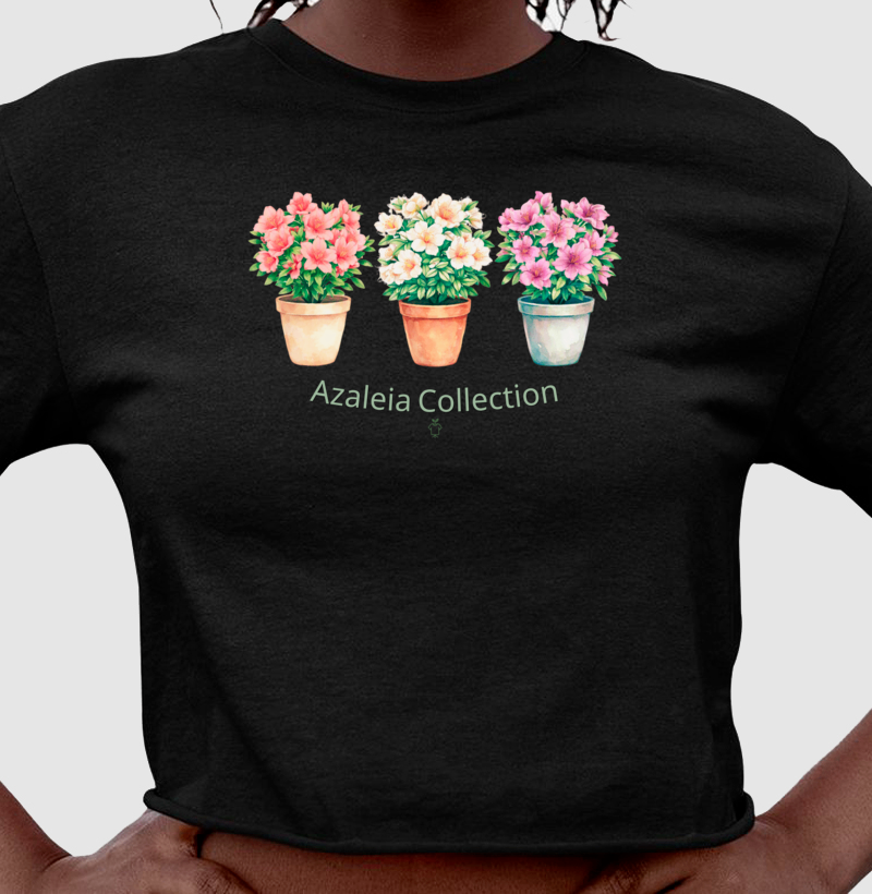 Azaleia Collection - Imagem 2