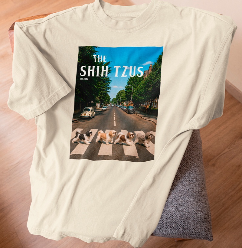 THE SHIH TZUS 🐾🎶 - Imagem 3
