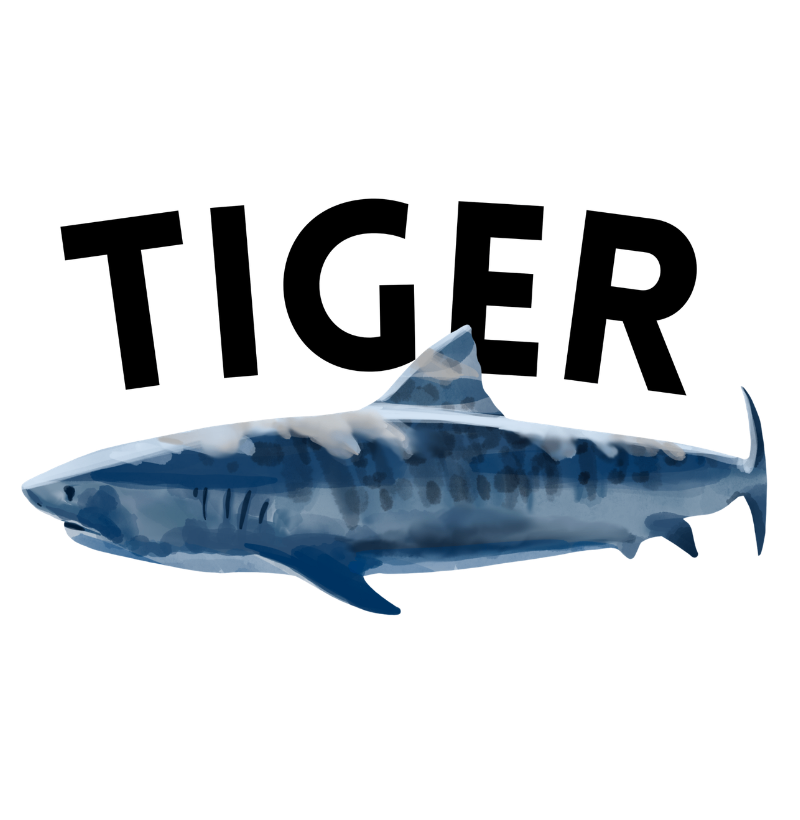 Tiger - Imagem 2