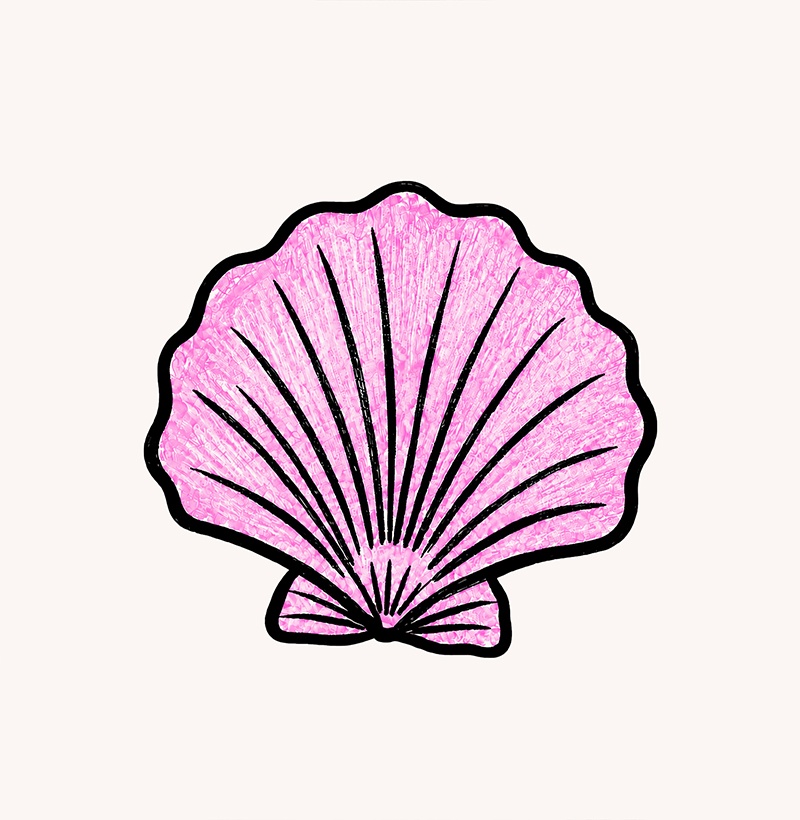 Pink Shell - Imagem 3
