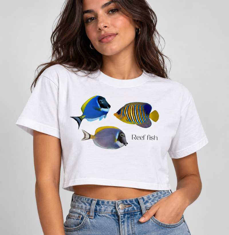 Reef Fish - Imagem 3