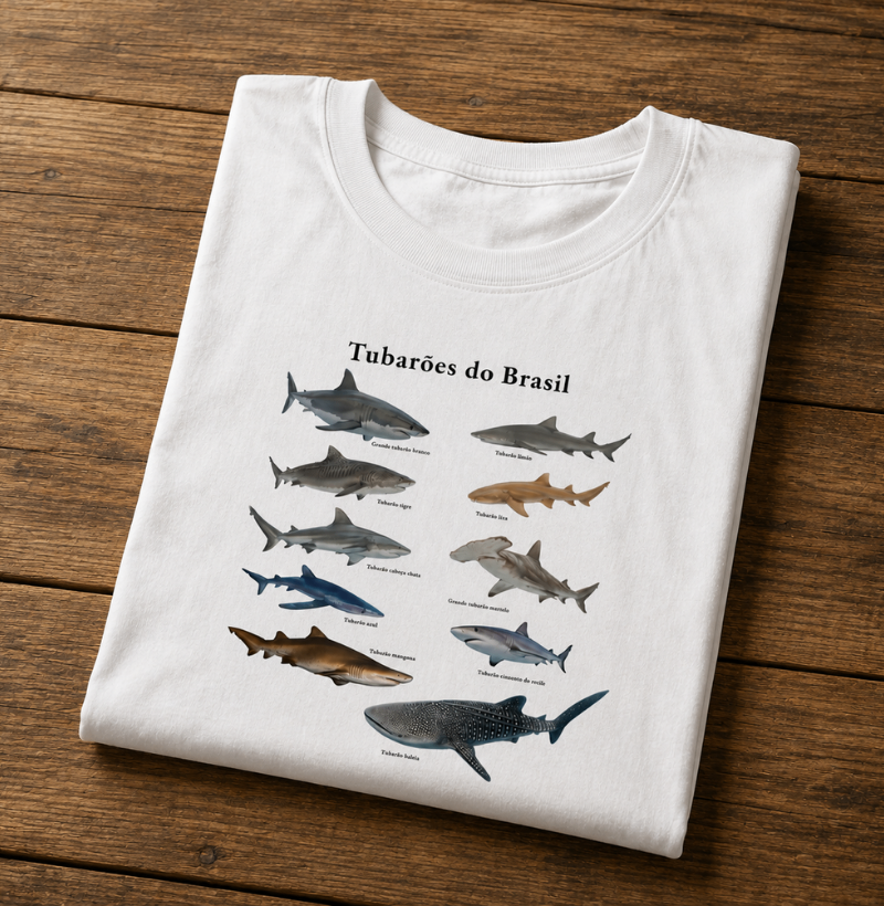 Tubarões do Brasil - Imagem 4