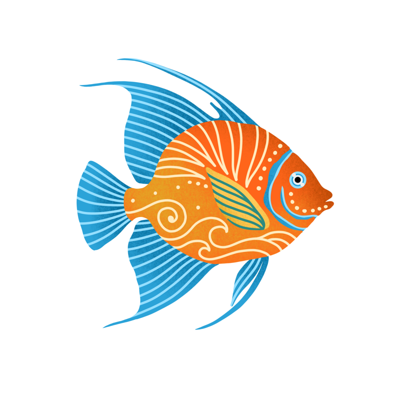 Peixinho - Imagem 2