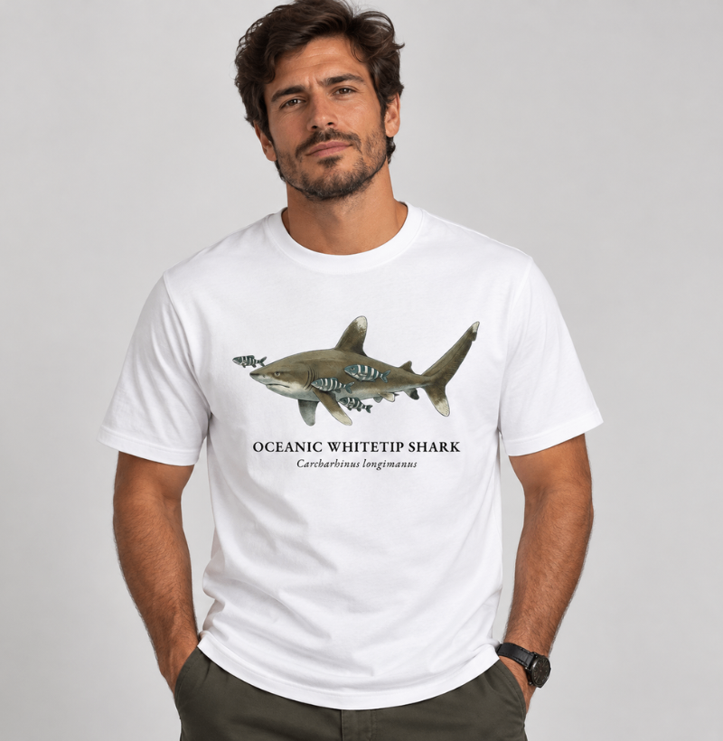 Oceanic Whitetip Shark - Imagem 3