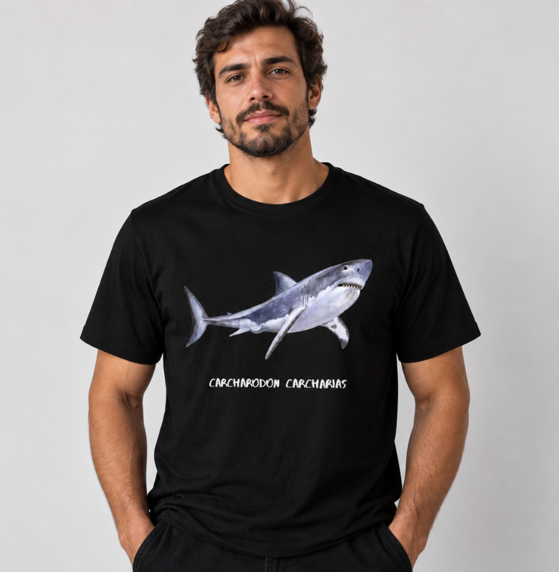 Carcharodon carcharias - Imagem 2