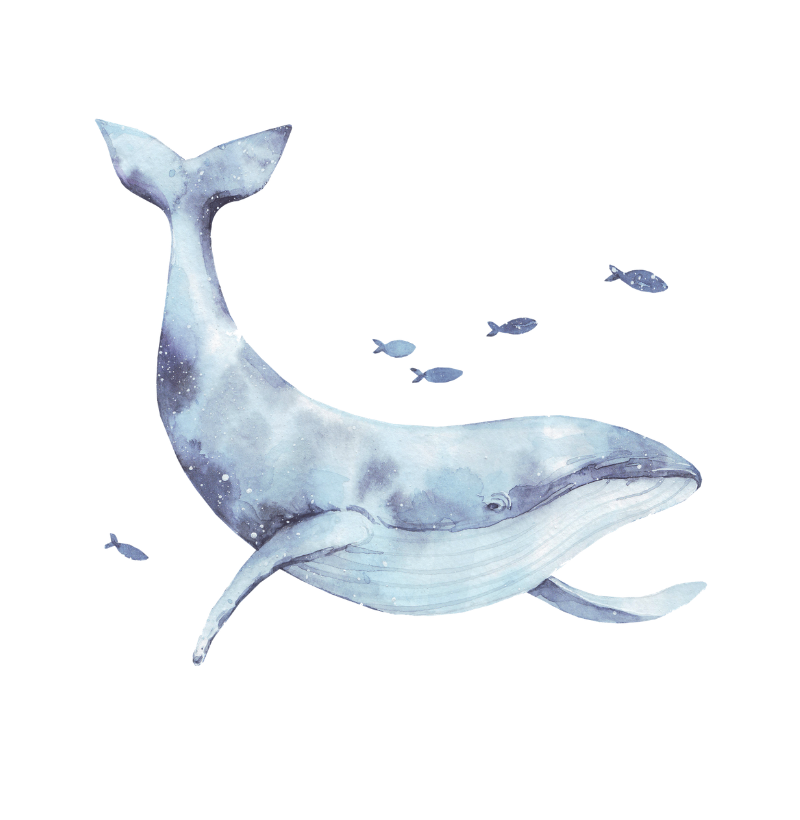 The Whale - Imagem 2