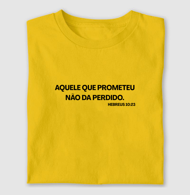 Aquele que Prometeu não da Perdido - Imagem 3