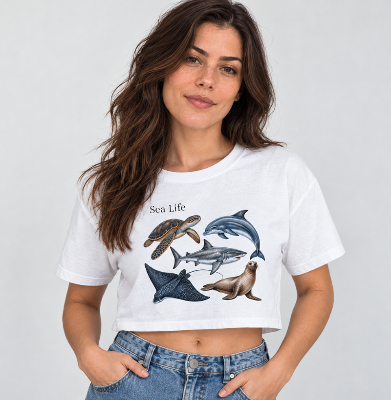 Sea Life - Imagem 3