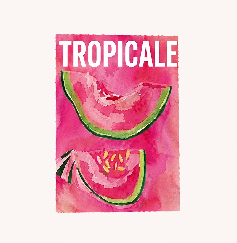 Tropicale - Imagem 2