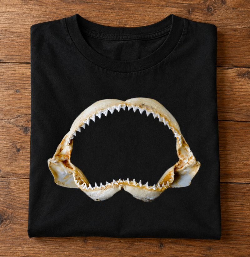 Jaws - Imagem 3