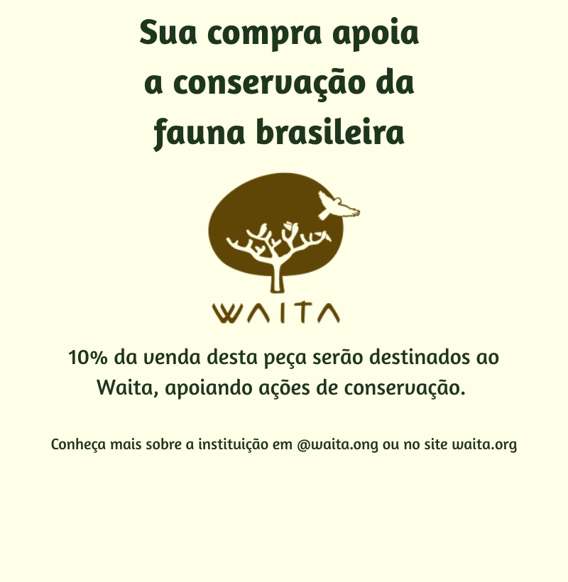 Arara-azul - Imagem 2