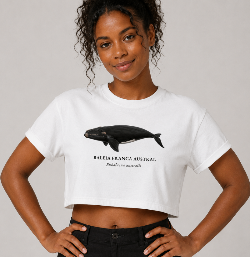 Baleia Franca Austral - Imagem 3