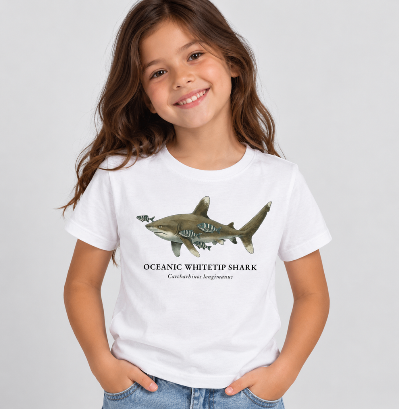 Oceanic Whitetip Shark - Imagem 3