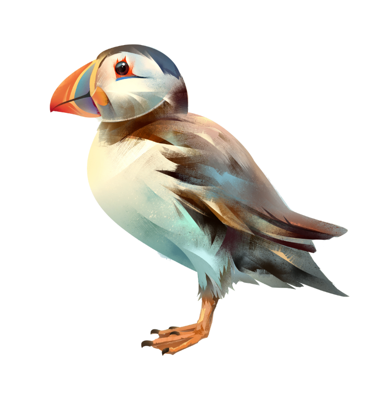 Sea Parrot Pocket - Imagem 2