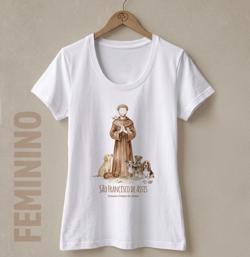 São Francisco de Assis - Imagem 2