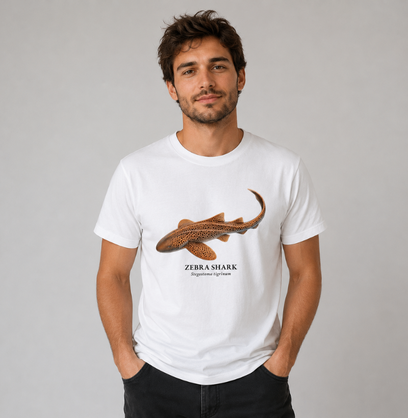 Zebra Shark - Imagem 2