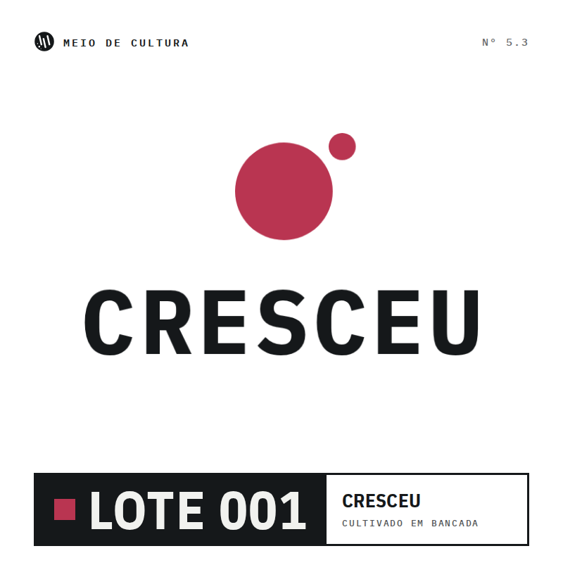 Camiseta Masculina Cresceu - Imagem 3